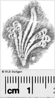 Image Description for https://www.wlb-stuttgart.de/kyriss/images/s0291610.jpg