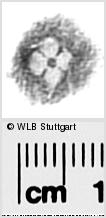 Image Description for https://www.wlb-stuttgart.de/kyriss/images/s0291615.jpg
