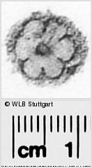Image Description for https://www.wlb-stuttgart.de/kyriss/images/s0291952.jpg