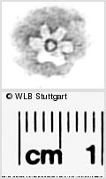 Image Description for https://www.wlb-stuttgart.de/kyriss/images/s0292205.jpg
