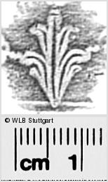 Image Description for https://www.wlb-stuttgart.de/kyriss/images/s0294214.jpg