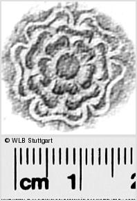 Image Description for https://www.wlb-stuttgart.de/kyriss/images/s0294333.jpg