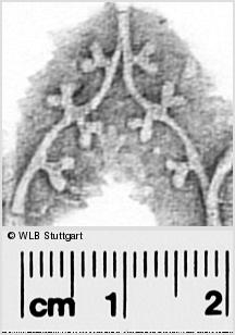 Image Description for https://www.wlb-stuttgart.de/kyriss/images/s0295137.jpg