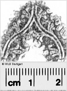 Image Description for https://www.wlb-stuttgart.de/kyriss/images/s0295202.jpg