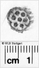 Image Description for https://www.wlb-stuttgart.de/kyriss/images/s0310127.jpg