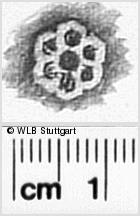 Image Description for https://www.wlb-stuttgart.de/kyriss/images/s0311032.jpg