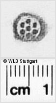 Image Description for https://www.wlb-stuttgart.de/kyriss/images/s0312324.jpg