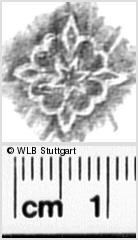 Image Description for https://www.wlb-stuttgart.de/kyriss/images/s0330913.jpg