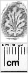 Image Description for https://www.wlb-stuttgart.de/kyriss/images/s0331112.jpg
