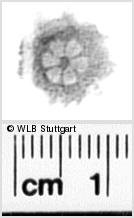 Image Description for https://www.wlb-stuttgart.de/kyriss/images/s0331405.jpg