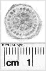 Image Description for https://www.wlb-stuttgart.de/kyriss/images/s0340305.jpg