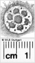 Image Description for https://www.wlb-stuttgart.de/kyriss/images/s0342409.jpg