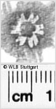 Image Description for https://www.wlb-stuttgart.de/kyriss/images/s0350311.jpg