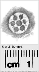 Image Description for https://www.wlb-stuttgart.de/kyriss/images/s2822519.jpg