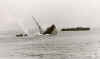 41-07-07.3 sowjettrawler-2.jpeg (16354 Byte)