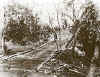 42-11-09 guadalcanal.jpeg (33464 Byte)