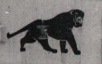 Flottillen-Emblem: Gorilla